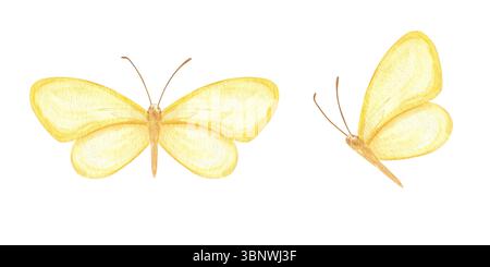 Due farfalle gialle astratte da sogno in uno sfondo isolato con clip art ad acquerello di volo. Insetto etereo dipinto a mano per l'arredamento del vivaio Foto Stock