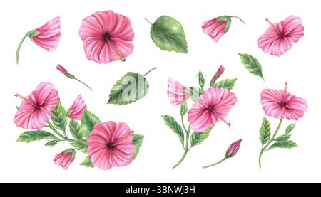 Fiori di ibisco rosa acquerello, rami e mazzi creano uno sfondo isolato. Illustrazione d'arte botanica tropicale dipinta a mano per l'arredamento di matrimoni Foto Stock
