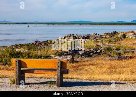 Panchina vuota con vista sulle rocce, sulla strada e sul fiume Fraser a Gary Point Park a Steveston, Canada Foto Stock