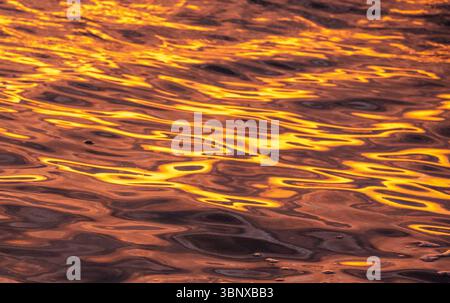 Golden Sunset Reflections sull'Oceano Pacifico, Maui Foto Stock