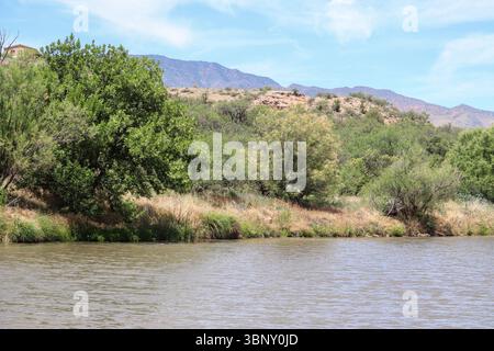Vista del fiume Verde che scorre attraverso Clarkdale, Arizona, Foto Stock