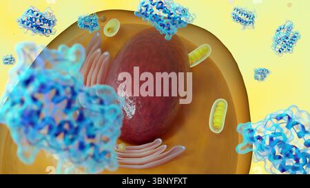 Rendering 3d di molecole di leptina sparse e cellule adipocite o adipocite, che illustra il loro ruolo nel metabolismo e nella regolazione energetica. Foto Stock