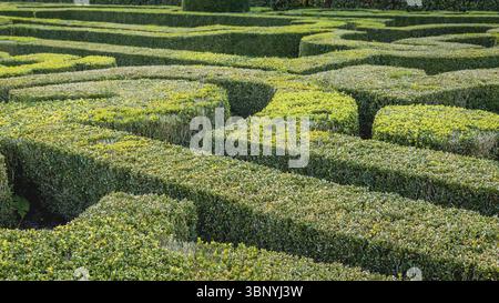 Natural hedge labyrinth or maze in a formal castle garden, Markelo, Nederland Foto Stock