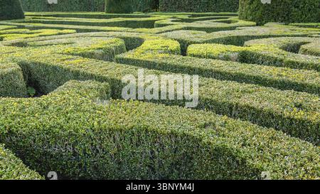 Natural hedge labyrinth or maze in a formal castle garden, Markelo, Nederland Foto Stock