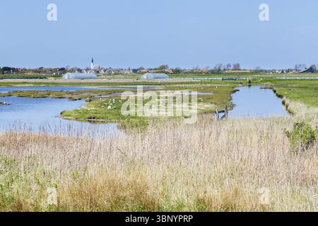 Vista sul villaggio Den Hoorn, un piccolo villaggio sulle isole wadden, Texel, Paesi Bassi, Den Hoorn Texel, Nederland Foto Stock