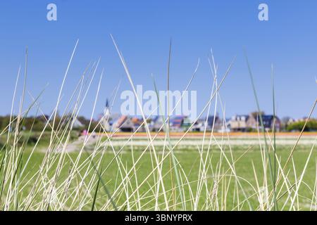 Vista sul villaggio Den Hoorn, un piccolo villaggio sulle isole wadden, Texel, Paesi Bassi, Den Hoorn Texel, Nederland Foto Stock