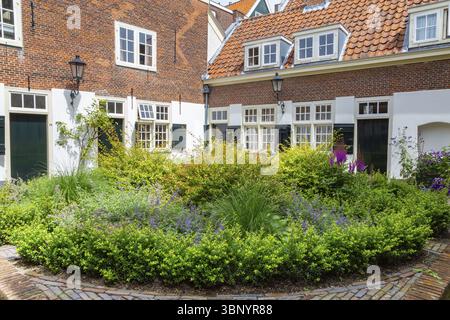 Cortile con giardino colorato e piccole case nel centro della città di Leida, nei Paesi Bassi Foto Stock