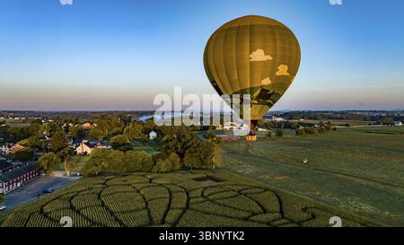 Una veduta aerea di una mongolfiera dorata, appena lanciata e galleggiante attraverso un campo con un labirinto di mais, in una soleggiata mattinata estiva Foto Stock