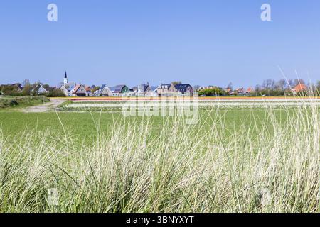 Vista sul villaggio Den Hoorn, un piccolo villaggio sulle isole wadden, Texel, Paesi Bassi, Den Hoorn Texel, Nederland Foto Stock