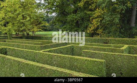 Natural hedge labyrinth or maze in a formal castle garden, Markelo, Nederland Foto Stock