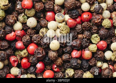 Mix multicolore di mais piccante a telaio pieno. Spezie dai toni vivaci e naturali. Condimento culinario con pepe secco rosso, verde, nero e bianco. Foto Stock