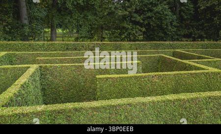 Natural hedge labyrinth or maze in a formal castle garden, Markelo, Nederland Foto Stock