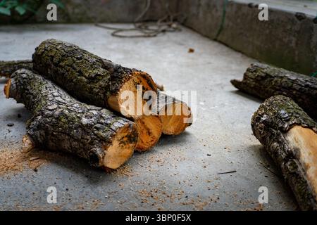 Tagliare i tronchi di legna da ardere ordinatamente accatastati in un cortile per l'uso domestico in un ambiente domestico indiano. Foto Stock