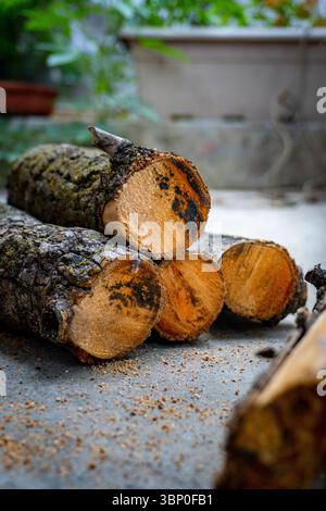 Tagliare i tronchi di legna da ardere ordinatamente accatastati in un cortile per l'uso domestico in un ambiente domestico indiano. Foto Stock