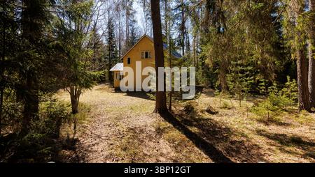 Cascina in legno giallo abbandonata nel mezzo della foresta, in Finlandia Foto Stock