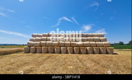 Grandi balle di fieno rotonde impilate in modo ordinato su un campo asciutto raccolto sotto un cielo azzurro. Ambiente agricolo rurale estivo con tonalità dorate, terreni agricoli, Foto Stock