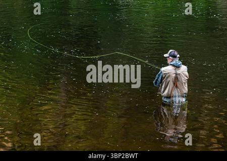 La pesca con la mosca Farmington fiume   Barkhamsted, Connecticut, Stati Uniti d'America Foto Stock