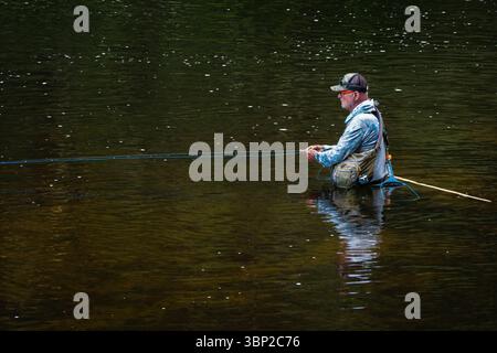 La pesca con la mosca Farmington fiume   Barkhamsted, Connecticut, Stati Uniti d'America Foto Stock