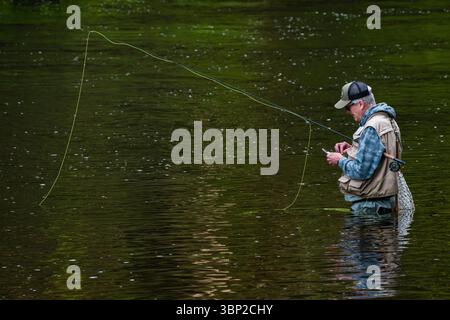 La pesca con la mosca Farmington fiume   Barkhamsted, Connecticut, Stati Uniti d'America Foto Stock