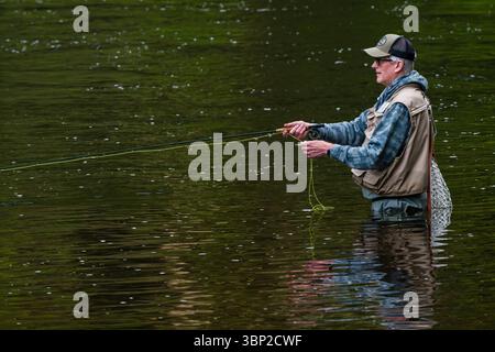 La pesca con la mosca Farmington fiume   Barkhamsted, Connecticut, Stati Uniti d'America Foto Stock