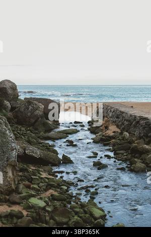 Piccolo ruscello roccioso che scorre nell'oceano su una spiaggia deserta. Paesaggio costiero naturale con rocce muschiate e acqua serena sotto un cielo morbido. Foto Stock