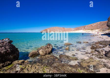 Le acque cristalline e poco profonde scivolano dolcemente sulla costa sabbiosa e rocciosa di Balandra Beach a la Paz, Baja California Sur. Famosa per la sua transluce Foto Stock