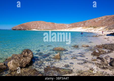 Le acque cristalline e poco profonde scivolano dolcemente sulla costa sabbiosa e rocciosa di Balandra Beach a la Paz, Baja California Sur. Famosa per la sua transluce Foto Stock