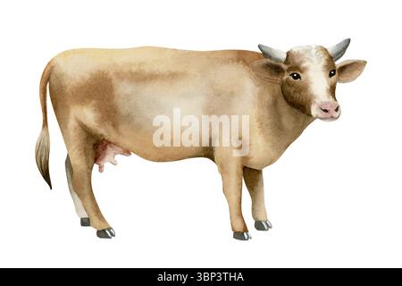 Illustrazione ad acquerello della mucca marrone isolata su bianco. Clip art di animali da fattoria in stile realistico per i disegni di villaggi e campagne. Disegnato a mano Foto Stock