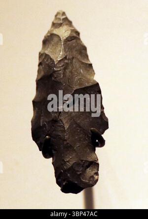 Una fotografia di una lancia da caccia nordamericana o coltello, 2900 a.C. -800 a.C. Trovato a New York, Staten Island. Foto Stock