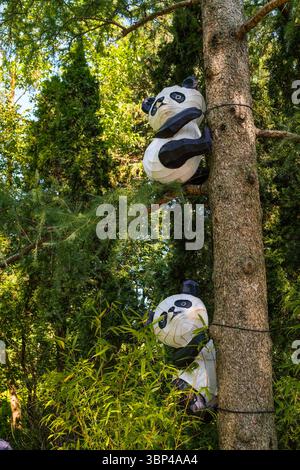 Due graziose installazioni d'arte dell'orso Panda sono appese al tronco di un albero nel giardino cinese del giardino botanico di Montreal in un giorno d'estate Foto Stock