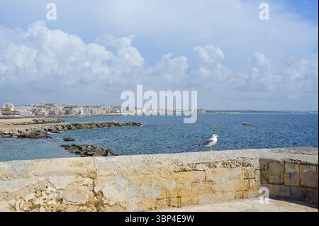 Gallipoli, Puglia, Italia - 06 settembre 2024 - Vista dalla fortificazione con un gabbiano alla città di Gallipoli con una piccola barca sul mare. Foto Stock