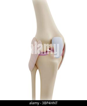 Rendering 3D minimalista in un rendering morbido e fluido Foto Stock