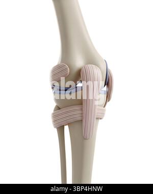 Rendering 3D minimalista in un rendering morbido e fluido Foto Stock