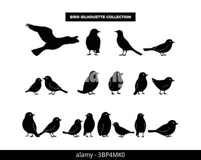 Sagome vettoriali di alta qualità in varie posizioni, volando, riposando e arroccato. Ideale per loghi, t-shirt, poster e design a tema naturale Illustrazione Vettoriale