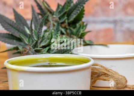 Marijuana medica fatta in casa con parete in mattoni colorati al coperto Foto Stock