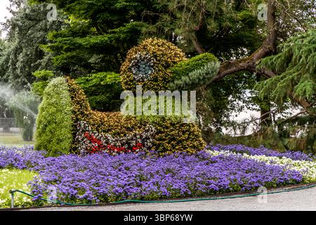 Un'impressionante scultura topiaria d'anatra, sapientemente realizzata con varie piante e fiori, si erge al centro di un letto di fiori viola e bianchi luminosi. Sullo sfondo, un irrigatore per prati annaffia le aree verdi. Questa scena è tipica dell'isola dei fiori di Mainau vicino a Costanza, in Germania, dove tali opere d'arte floreali deliziano i visitatori e la manutenzione del giardino è visibile. Costanza, Baden-Württemberg, Germania Foto Stock