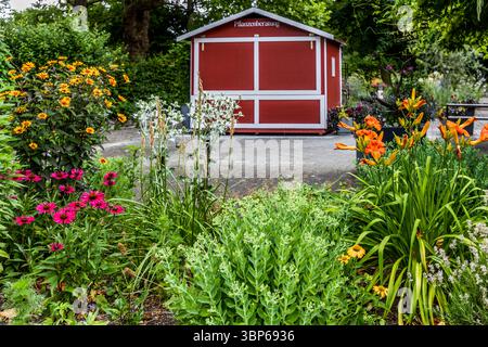 Un cottage rosso etichettato "Plant Advice" può essere visto sull'isola di Mainau a Costanza, in Germania. Si erge nel mezzo di un colorato paesaggio floreale con varie piante in fiore come gigli arancioni e coneflowers rosa. La casetta è utilizzata per consigliare i visitatori e gestisce anche una linea telefonica diretta sul tema delle piante e della cura del giardino. Insel Mainau, Costanza, Baden-Württemberg, Germania Foto Stock