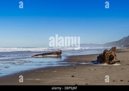 Arch Cape, Oregon - 26 novembre 2015: Driftwood siede sulla spiaggia mentre la marea si avvicina. Le onde si infrangono sullo sfondo in una giornata limpida. Foto Stock