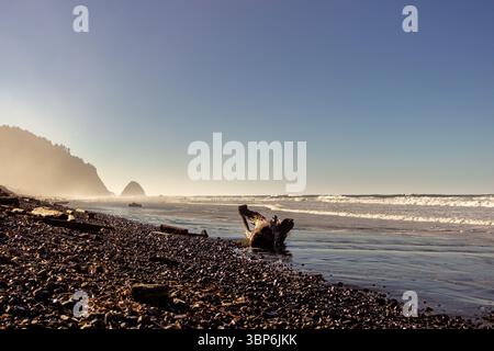 Arch Cape, Oregon - 26 novembre 2015: Le onde si infrangono sulla riva vicino a una spiaggia rocciosa con cime. Foto Stock