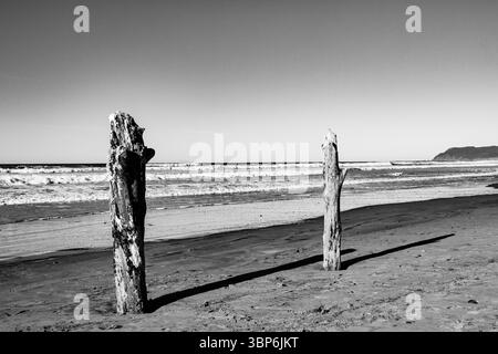 Arch Cape, Oregon - 26 novembre 2015: Due pali di legno di mare si stagliano sulla spiaggia, gettando lunghe ombre mentre le onde si infrangono sullo sfondo. Foto Stock