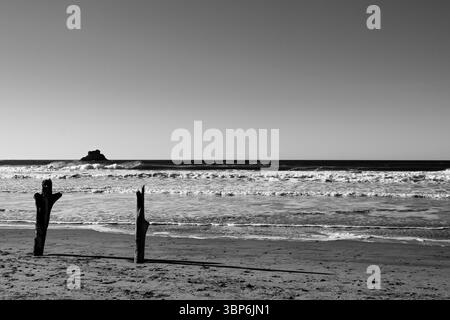 Arch Cape, Oregon - 26 novembre 2015: Due pali di paglia si trovano sulla spiaggia sabbiosa mentre le onde si schiantano contro la riva. Foto Stock