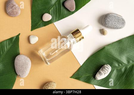 Siero facciale al collagene anti-invecchiamento in flacone di vetro trasparente con pipetta oro, foglie verdi e pietre naturali su sfondo doppio beige e grigio. N Foto Stock
