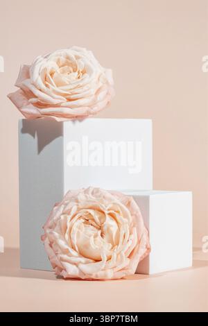 Piattaforme podio o piedistalli bianchi vuoti con sfondo rosa per l'esposizione del prodotto. Vuoto indica l'esposizione o la presentazione dei prodotti Foto Stock