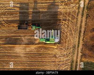 Vista aerea di una mietitrebbia che lavora in un campo di grano Foto Stock