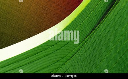 Motivo colorato astratto con linee curve verdi e rosse che formano archi sovrapposti. Rendering 3D. Foto Stock