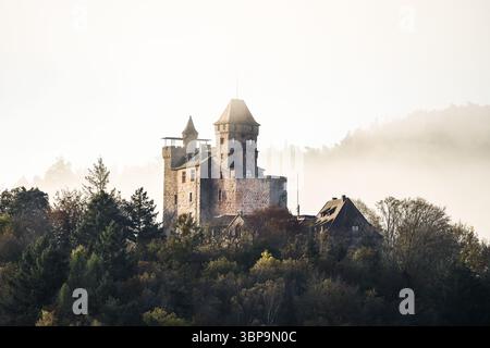 Vista del castello di Berwartstein vicino a Erlenbach vicino a Dahn. Castello medievale nella foresta palatina meridionale. Vecchio castello nella foresta nebbiosa. Mistico Foto Stock