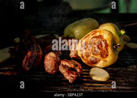 Pollo, carne di maiale e verdure sono cotte sul grill rostil brazier, tradizionale piatto di carne orientale Foto Stock