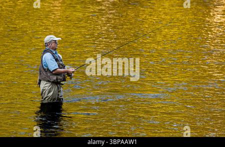 La pesca con la mosca Farmington fiume   Barkhamsted, Connecticut, Stati Uniti d'America Foto Stock