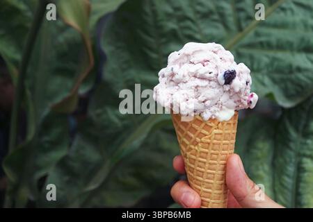Succulento cono gelato allo yogurt al mirtillo in mano Foto Stock
