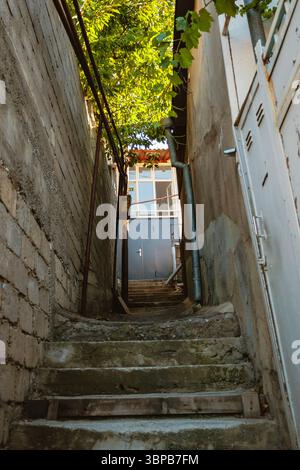 Scala stretta in cemento in un vicolo residenziale di Tbilisi, circondata da mura intemprate e lussureggiante vegetazione sopra, catturando il fascino rustico urbano Foto Stock